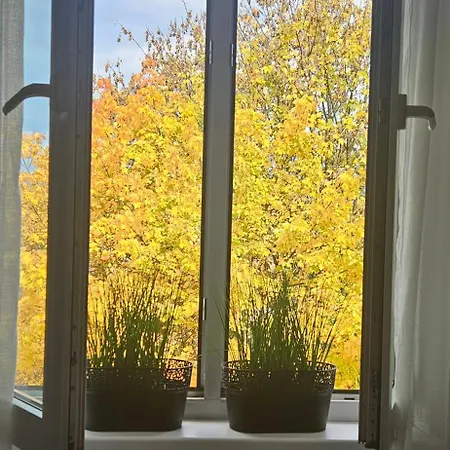 Diselvio * Nowy Targ