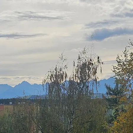 Diselvio Апартаменты Новы-Тарг