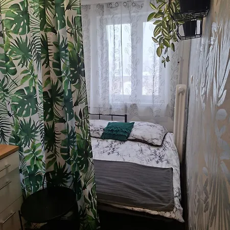 Diselvio Новий Тарг