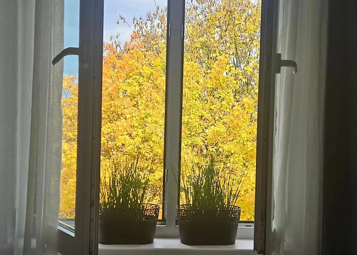 Diselvio * Nowy Targ